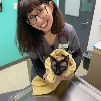 sf amc vet|2343 fillmore street.